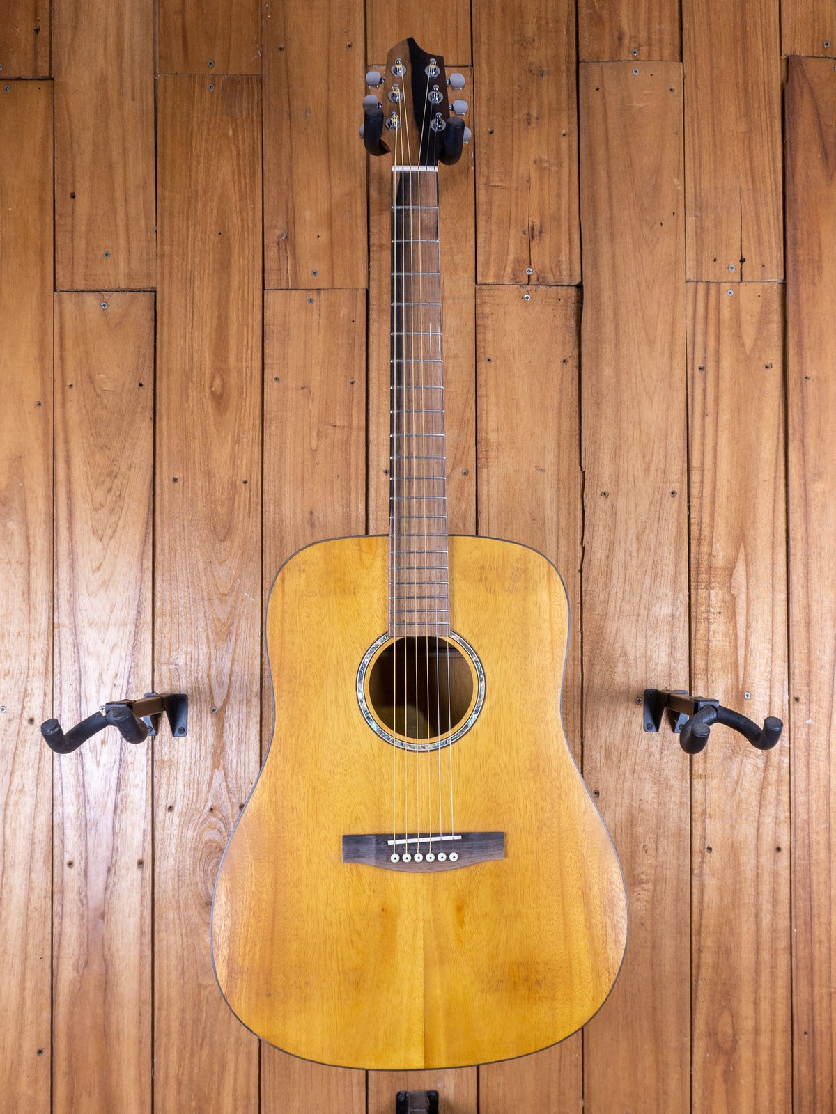 Anj-Series 2 Jackfruit Dreadnought Guitar