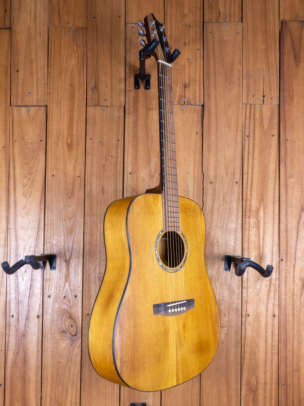 Anj-Series 2 Jackfruit Dreadnought Guitar