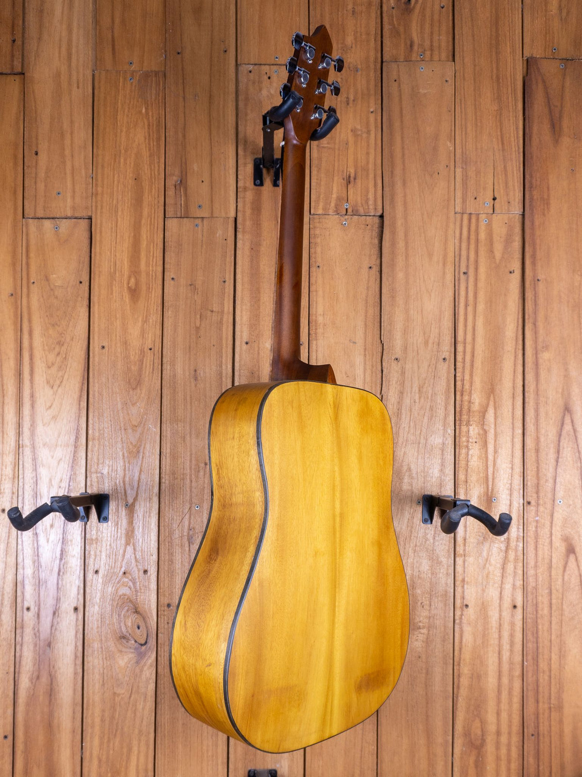 Anj-Series 2 Jackfruit Dreadnought Guitar