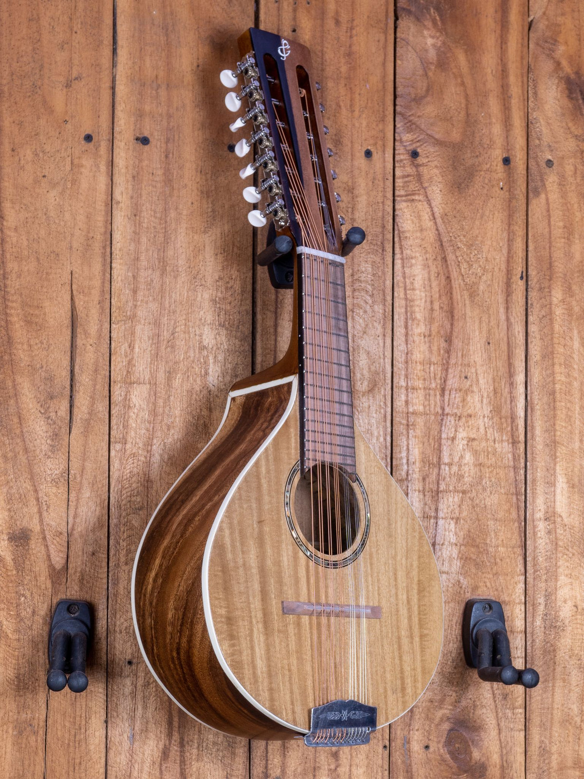 Bandurria — Acacia Top / Acacia Back & Sides