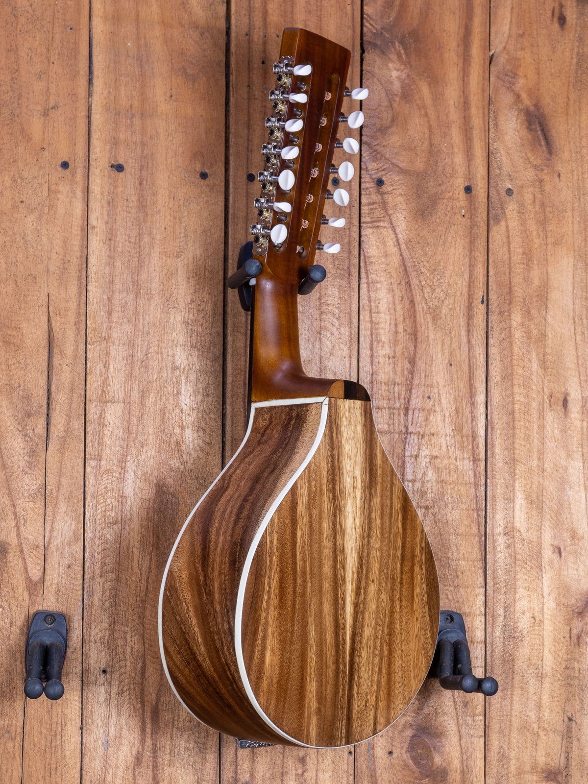 Bandurria — Acacia Top / Acacia Back & Sides