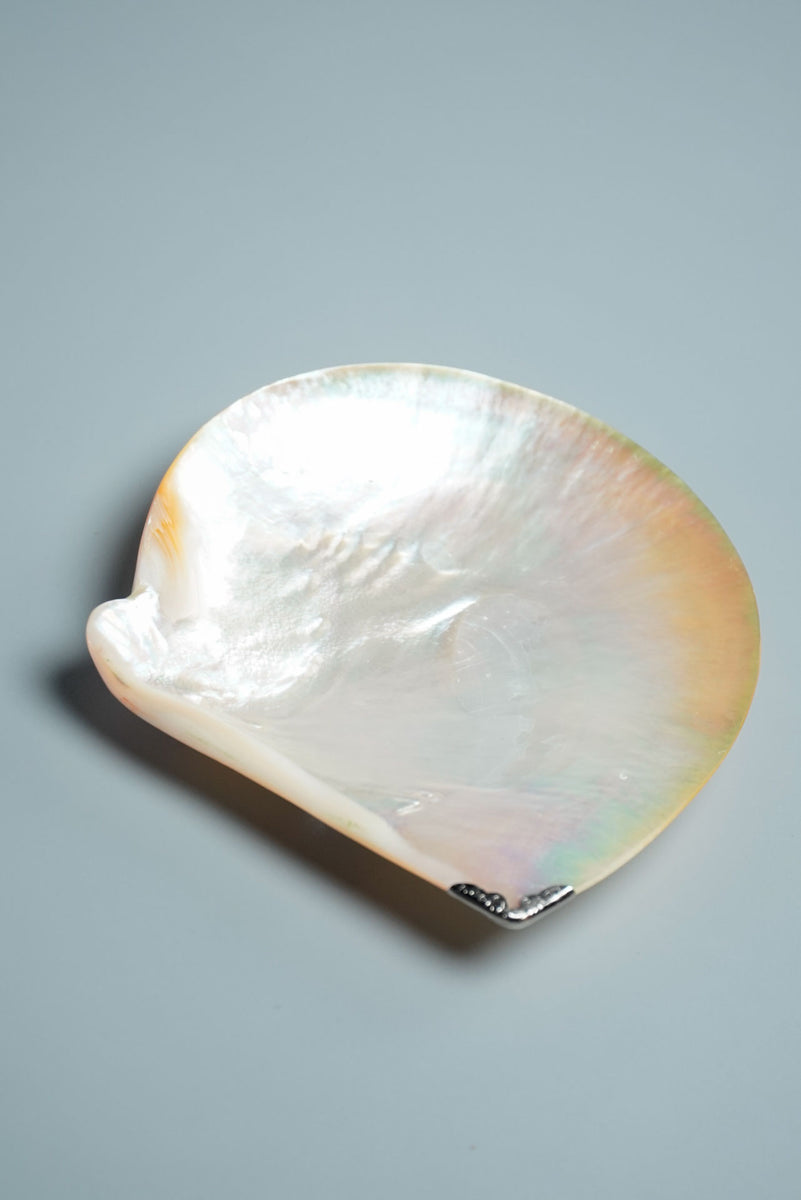 Mother-of-Pearl Natural Utility Dish