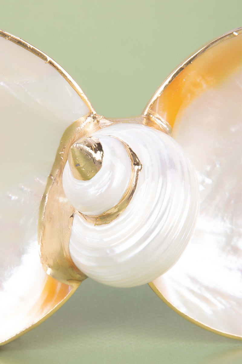 Mother-of-Pearl Double Utility Dish with Turbo Shell