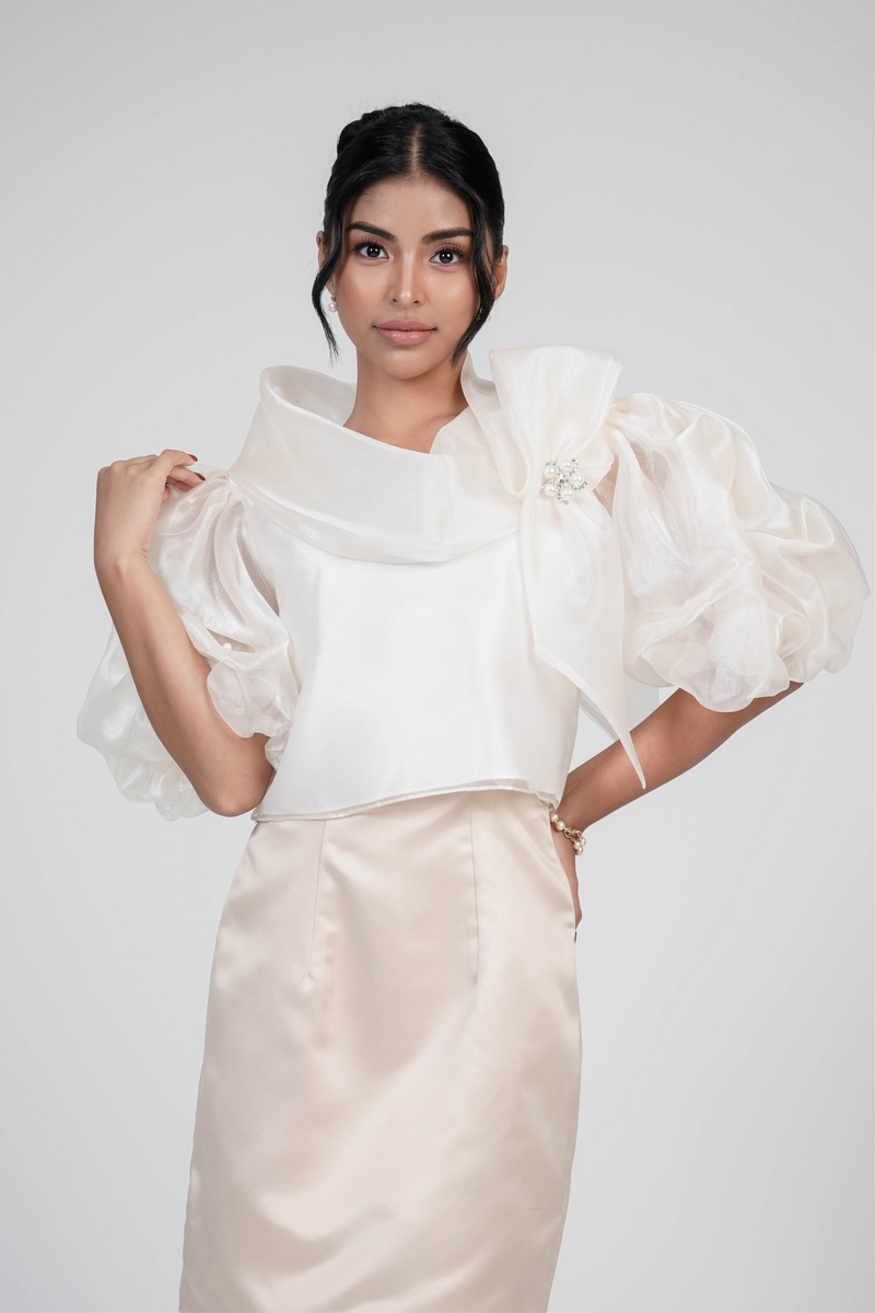 Women's Organza Cowl Neck and Puff Sleeves Top